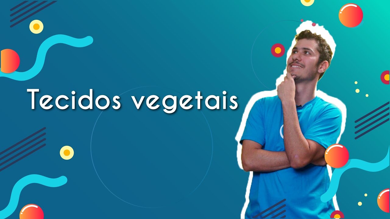 Tecidos Vegetais - Brasil Escola