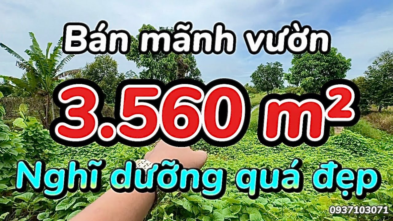 Cần Thơ | Mãnh vườn nghĩ dưỡng quá đẹp - Xe hơi tới đất - Xã Phú Hữu