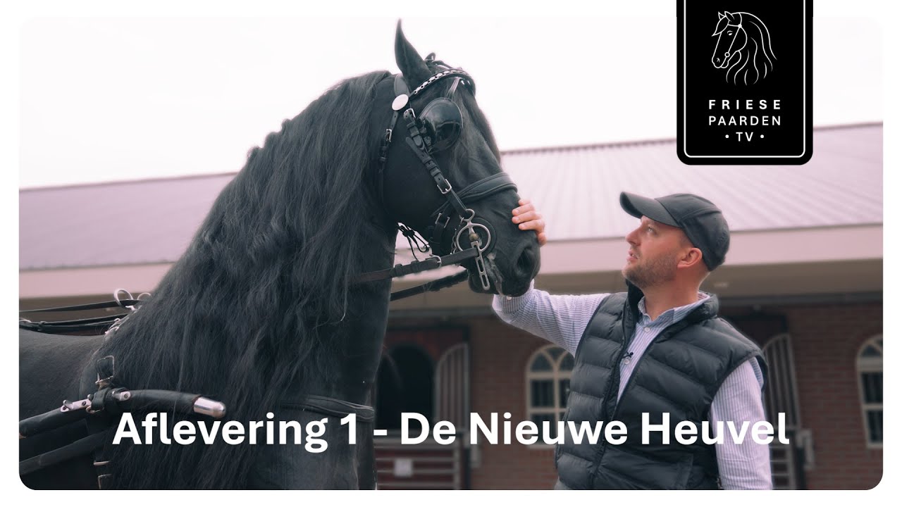 Aflevering 1: Backstage bij de Hengstenshow van De Nieuwe Heuvel🤩 | Friese Paarden TV