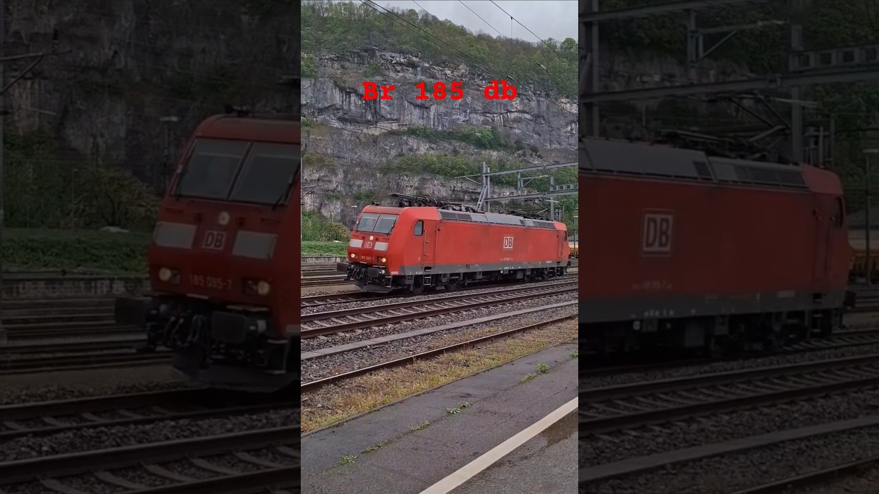 #train #trainspotting #trainzanewera #railway #travel #db #br185 #cargo