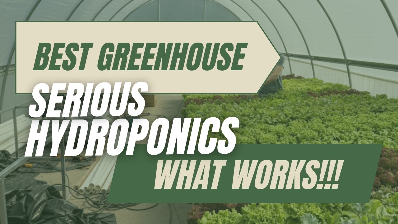Best Greenhouse for Serious Hydroponic Growers What Actually Works