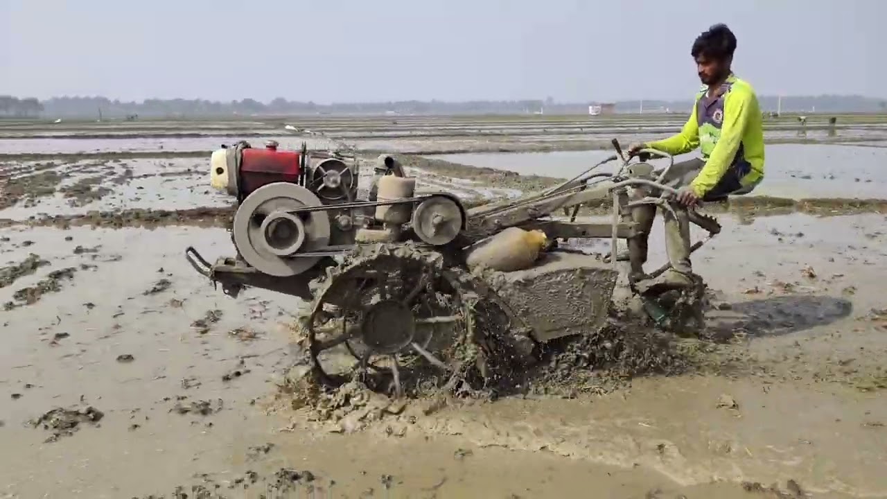 Power Tiller Mud Plowing for Rice Plantation  পাওয়ার টিলার দিয়ে ধান চাষের জমি তৈরি।