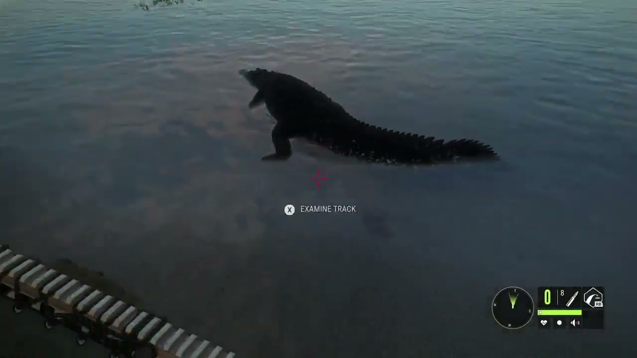 Crocodile Hunting  (Part 3/7)