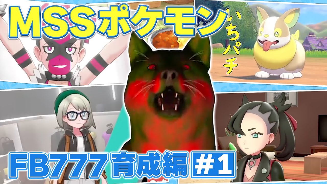 【MSSP切り抜き】なんとなくわかるFB777育成編#1【MSSポケモン】