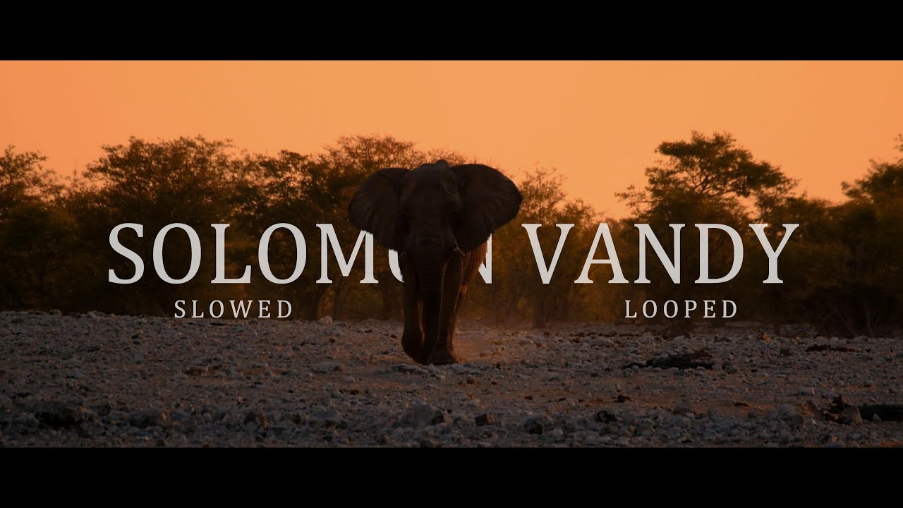 Blood Diamond - Solomon Vandy (Slowed / Loop) | James Newton Howard