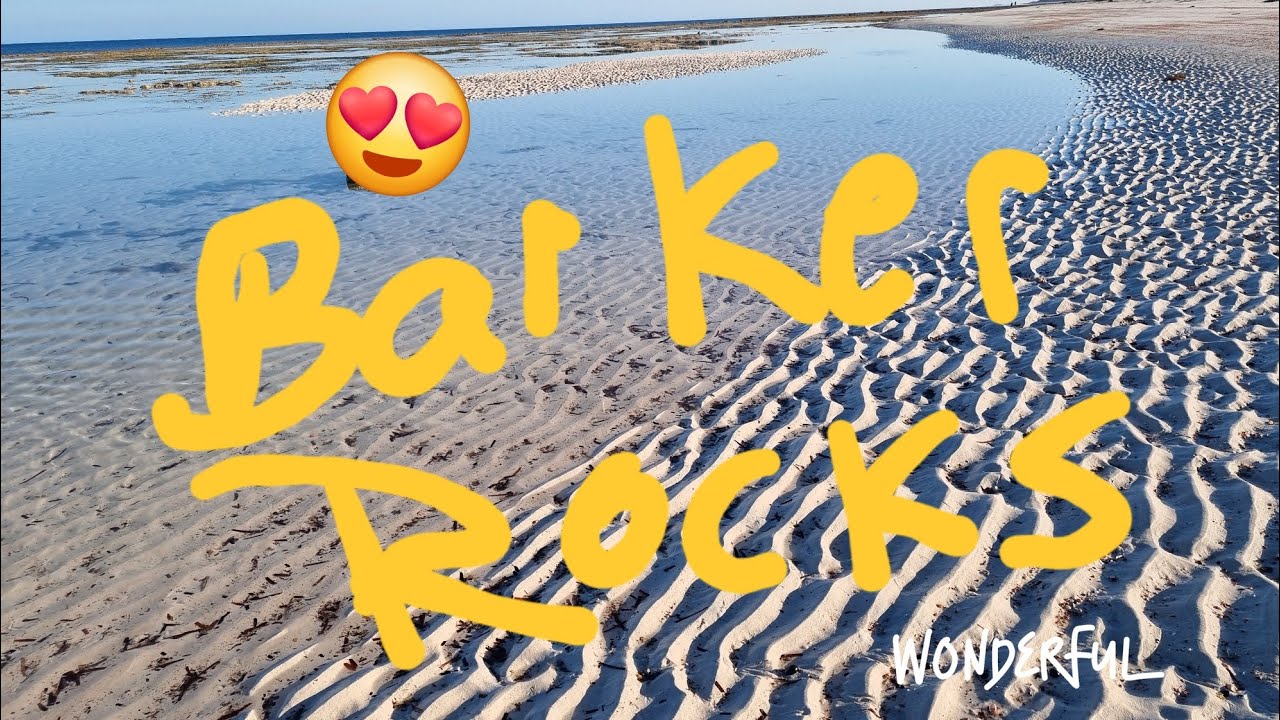 Barker Rocks, squid central