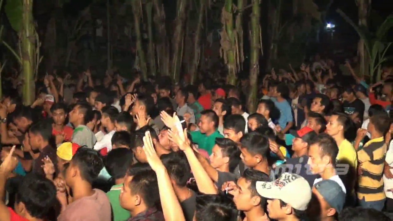 GITA CINTA - EVIS RENATA F MARLIN - AMELIA SINANGGUL