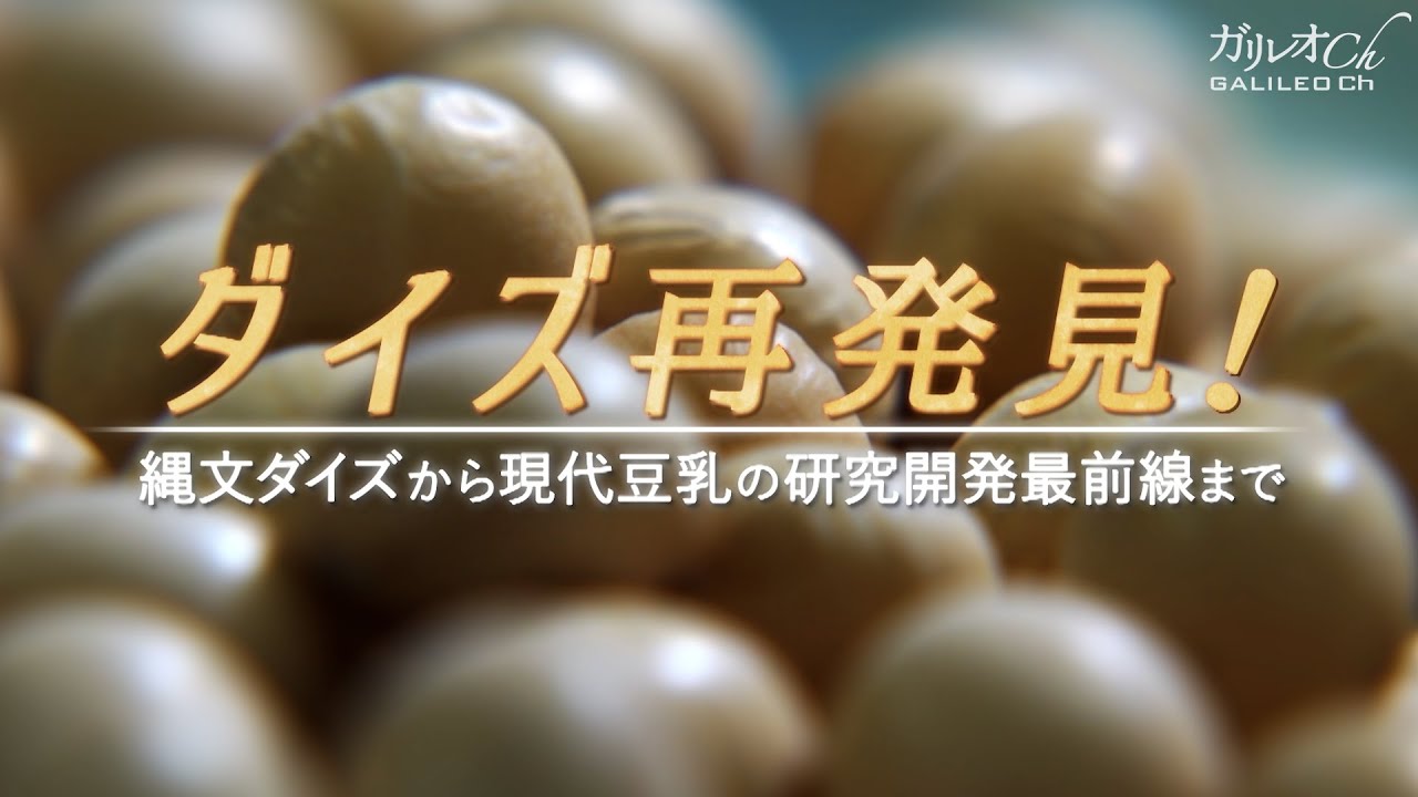 ダイズ再発見！　縄文ダイズから現代豆乳の研究開発最前線まで|ガリレオX第301回