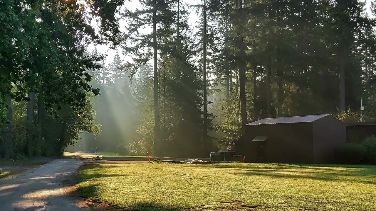 Sounds of a Country Park for Relaxation with Birds Singing 10 Hours