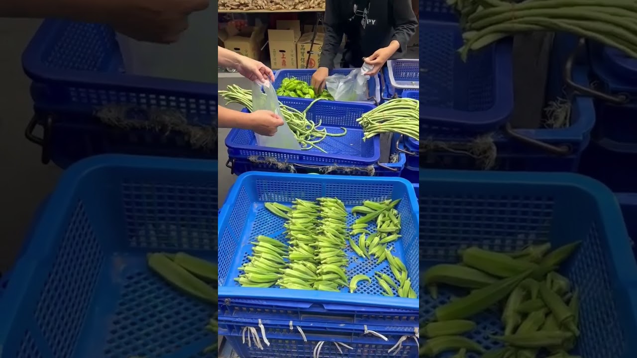 Green Fresh Vegetable in Morning Market in Taiwan. #ofwtaiwan #taiwanfood #vegetables #viralshort