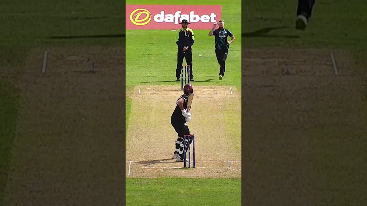 Tom Taylor with an absolute stunner!  #cricket #wicket
