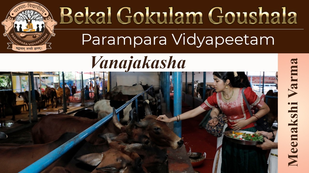 Vocal Concert | Meenakshi Varma | Vanajakasha