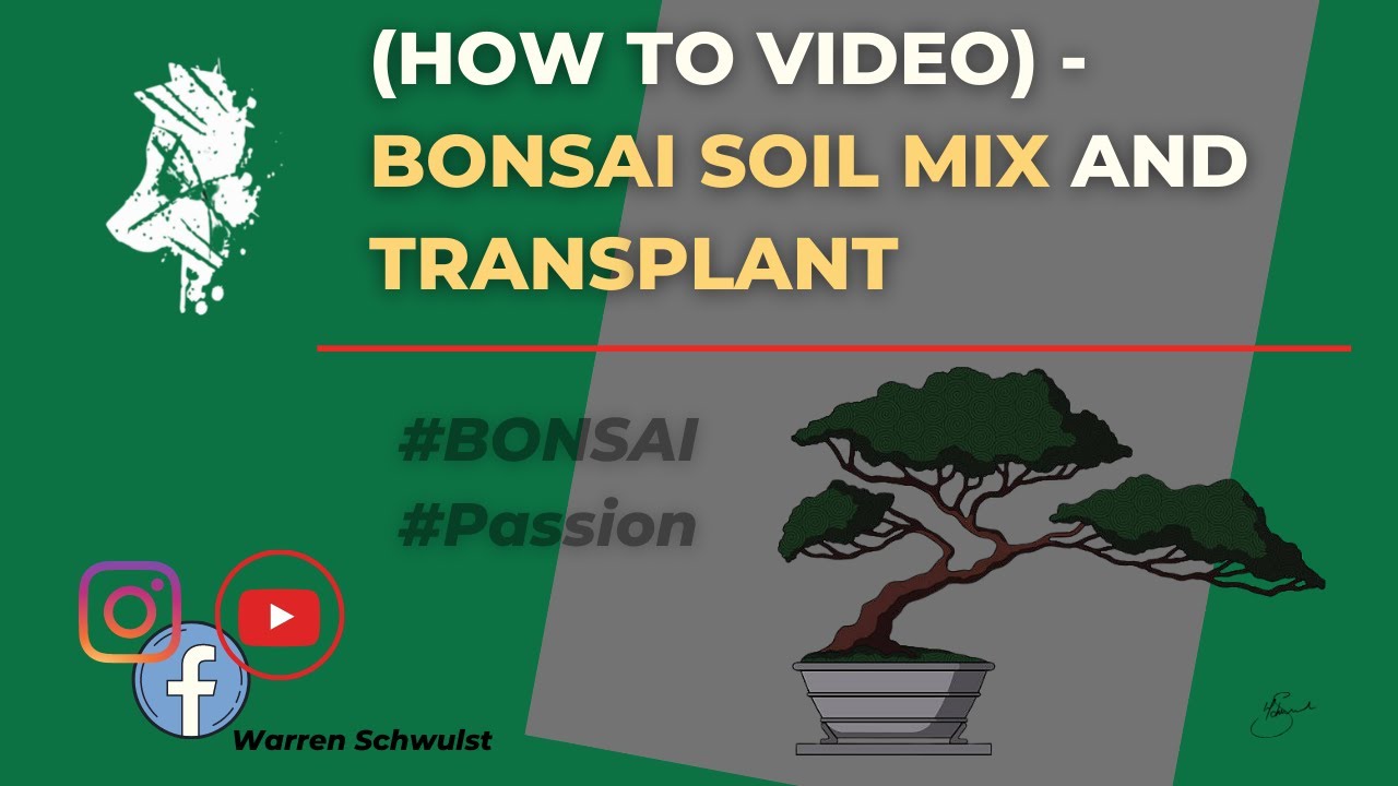 (HOW TO VIDEO) - Bonsai Soil Mix and Transplant - Stay tuned until January 2022 to see the outcome