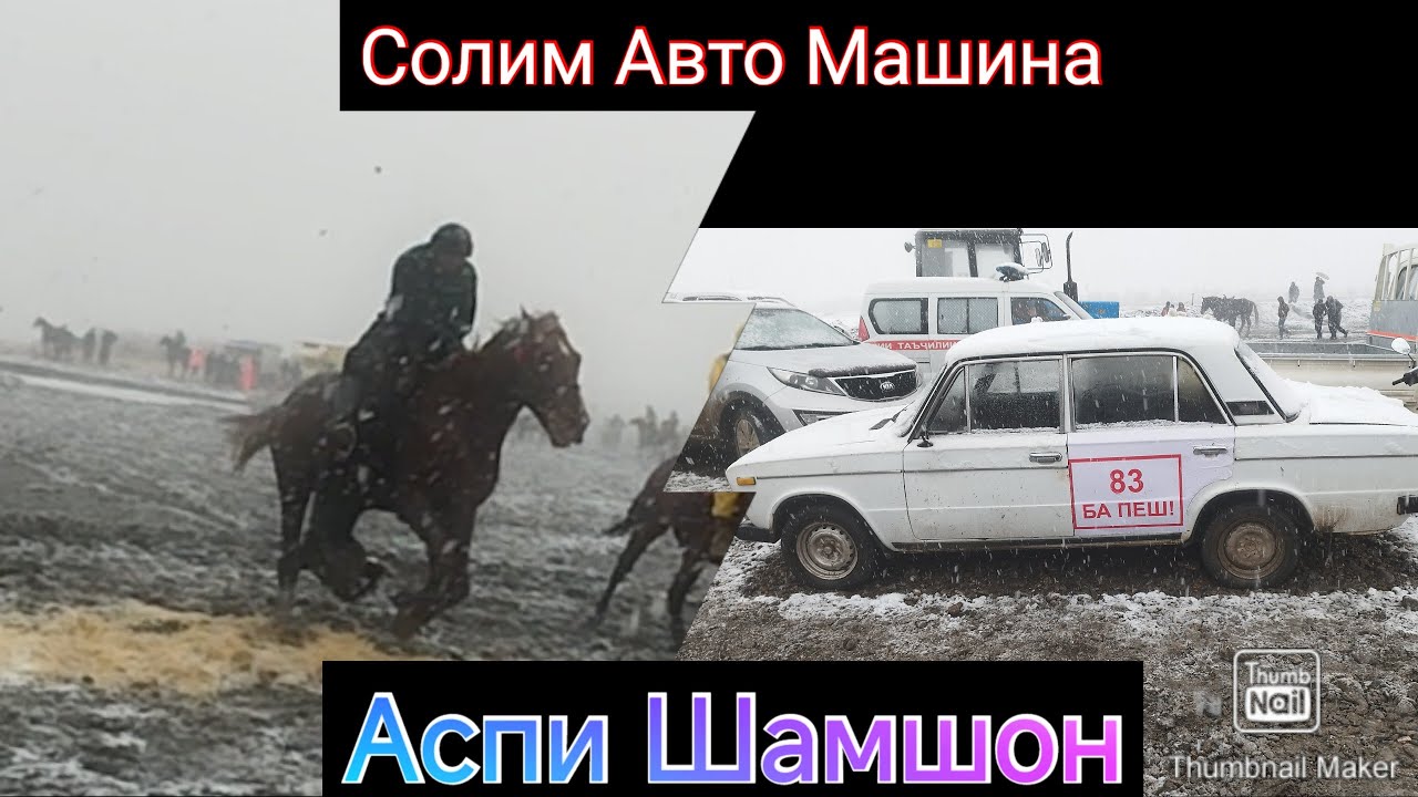 Бузкашй Дар Шингак Шахрий Панчакент 20.12.2025