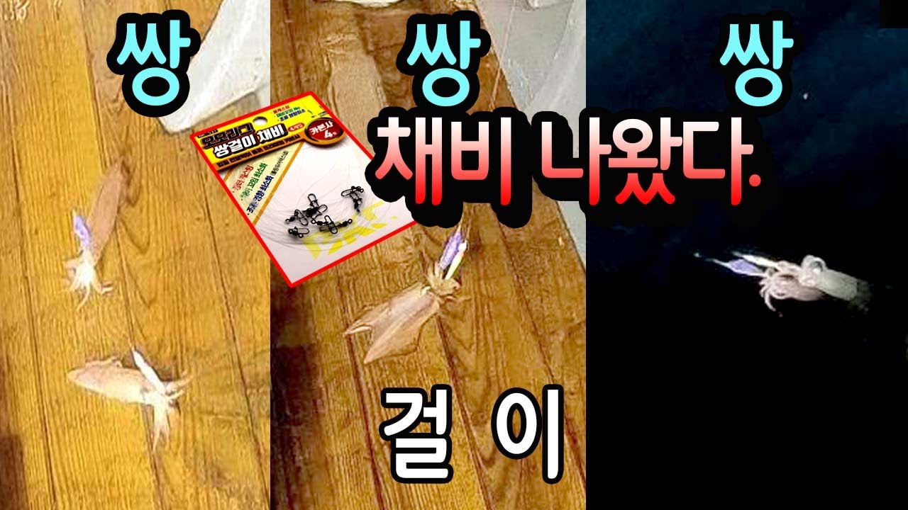 한치 쌍걸이채비 완성품 나왔습니다.4세트 2500원 사용방법 단차 주는법  #한치 낚시#한치 채비#선상낚시