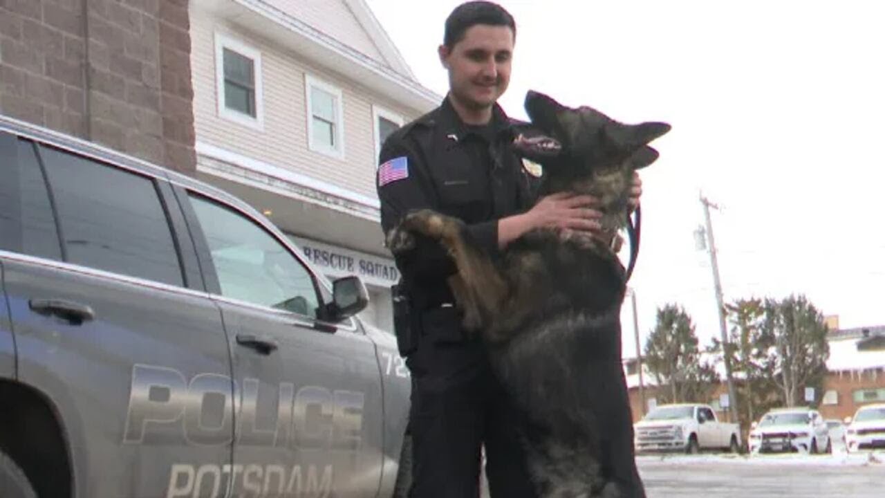 Potsdam Police Department adds K-9 officer after 18-year gap