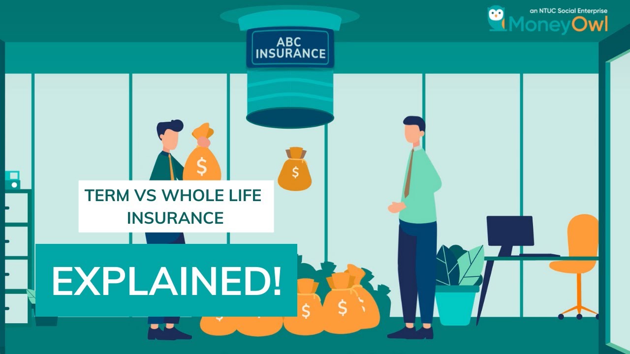 MoneyOwl &ndash; Term vs Whole Life Insurance