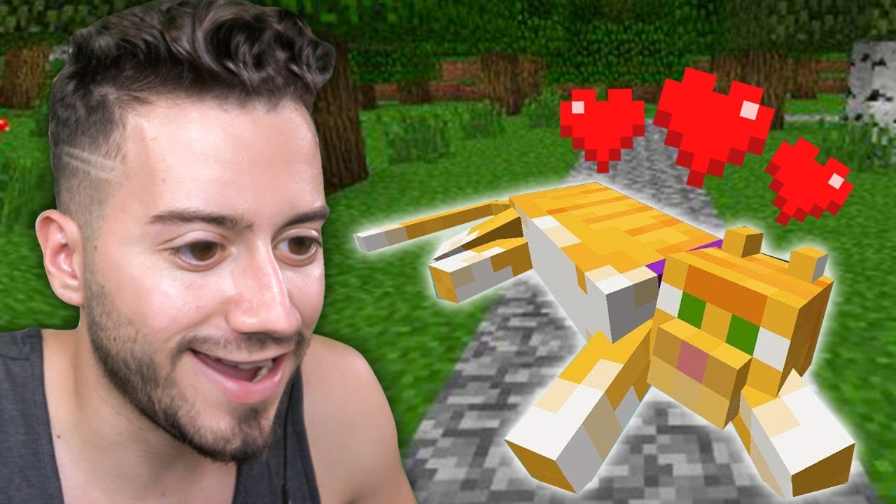 YENİ KEDİ BULDUM (Yıl 2013) Minecraft - Part 3