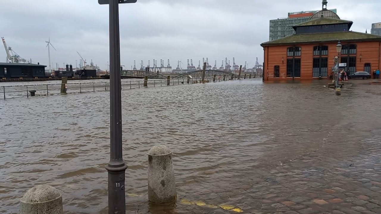 Marsupial Doku Spezial: Sturmflut in Hamburg
