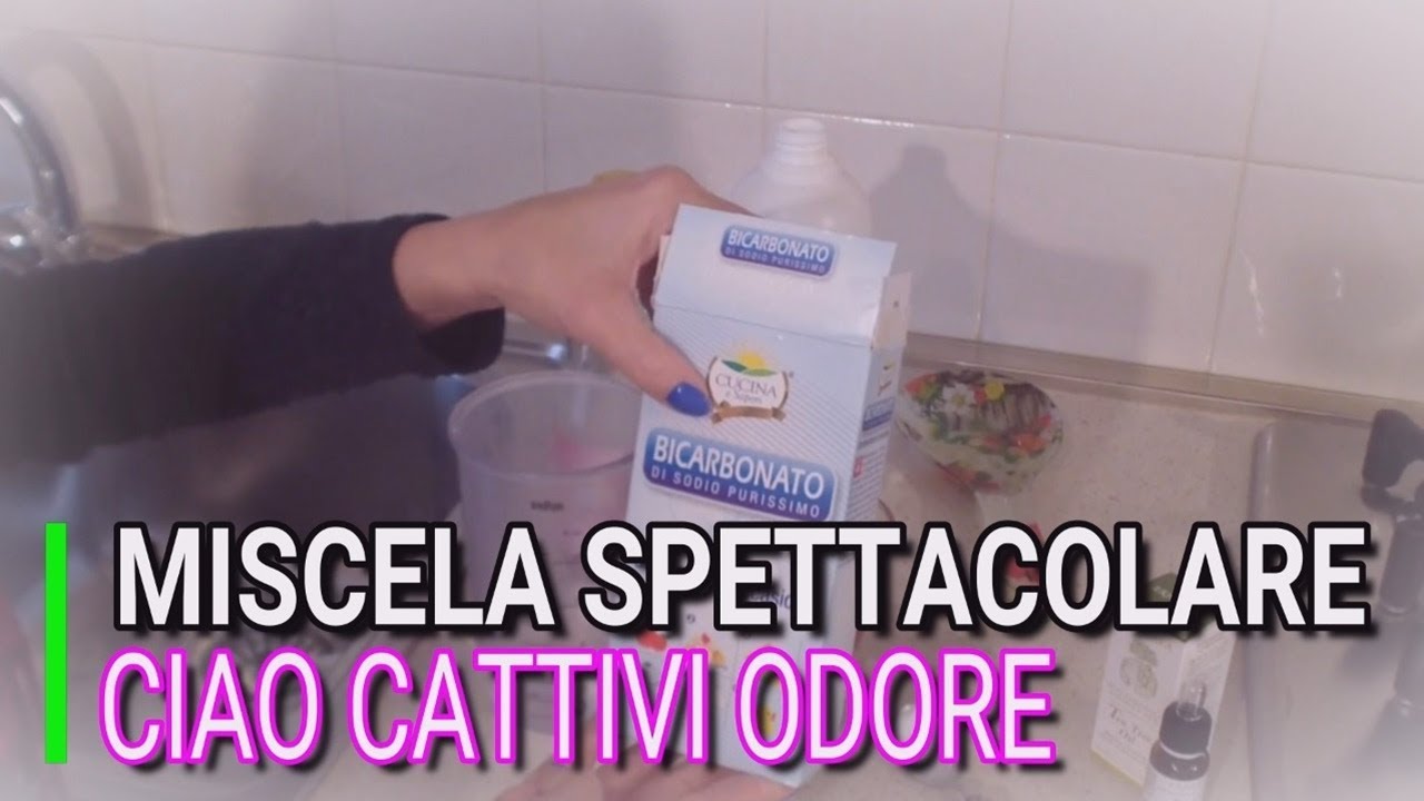 SPETTACOLARE, COME ELIMINARE CATTIVI ODORE DEGLI ANIMALE A CASA, MARLINDA CANONICO
