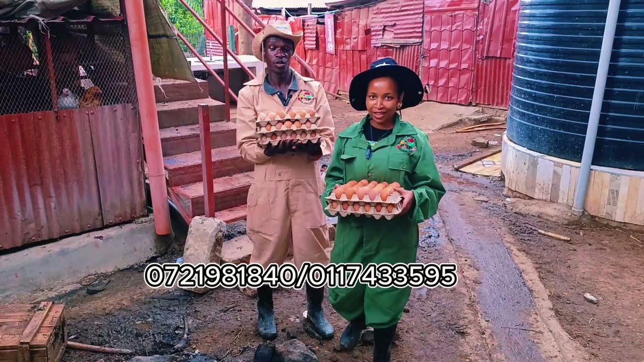 WELCOME TO OUR FARM