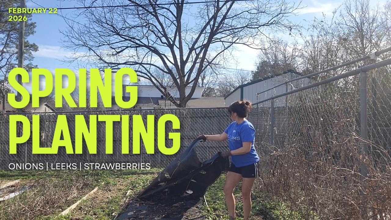 Garden | Spring Planting