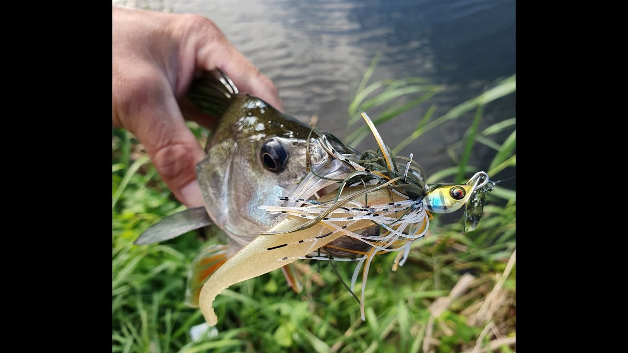 Mit Chatterbaits am Fluss - Jackall Bros. BREAK BLADE