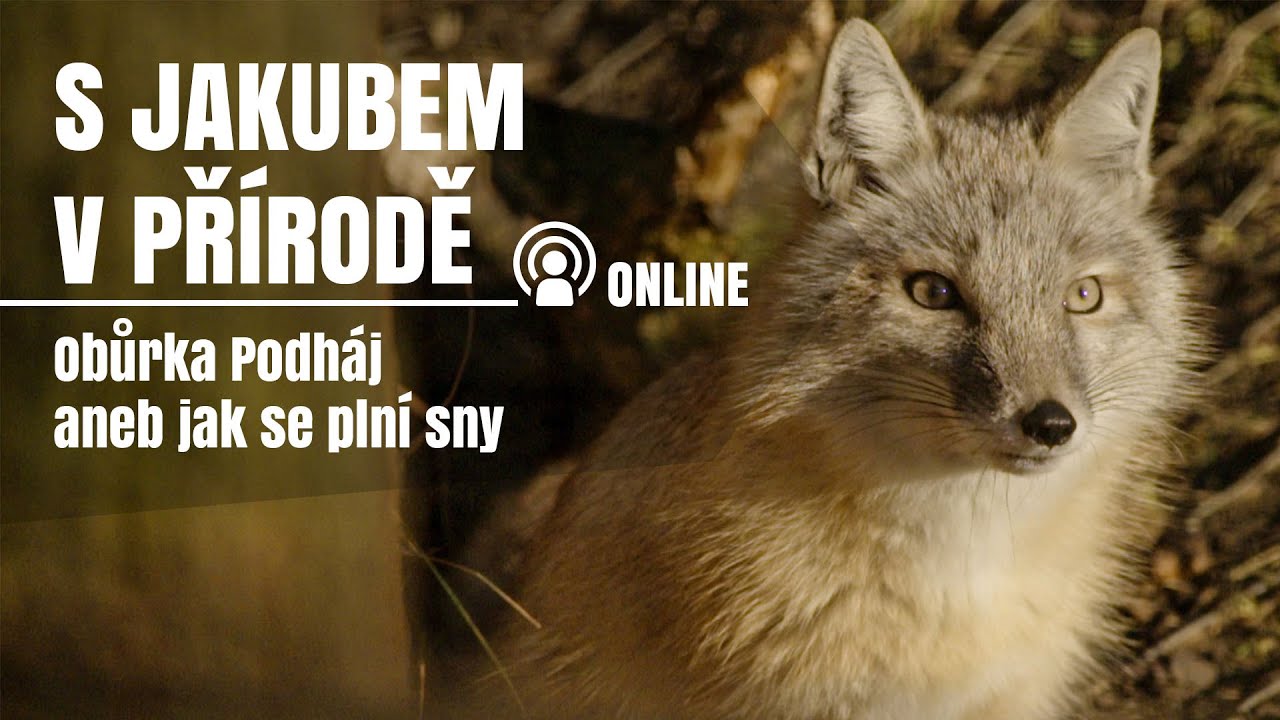 S Jakubem v přírodě online - Obůrka Podháj aneb jak se plní sny