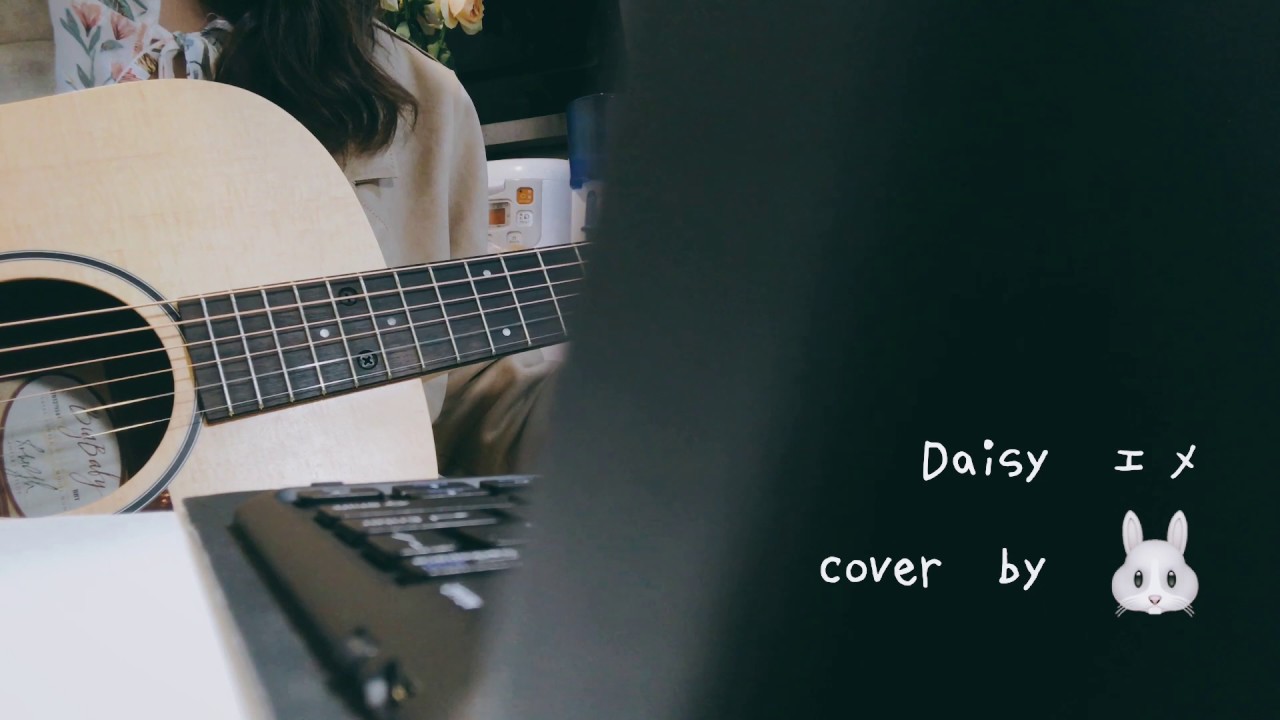 Aimer Daisy Cover by Rachel