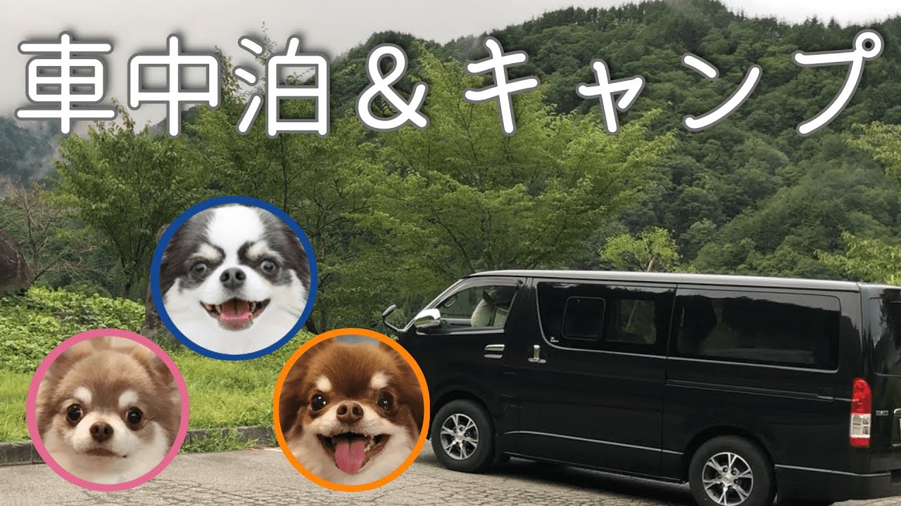 【ペットと行けるおすすめキャンプ場】岐阜県飛騨市にある山之村キャンプ場に車中泊&キャンプ
