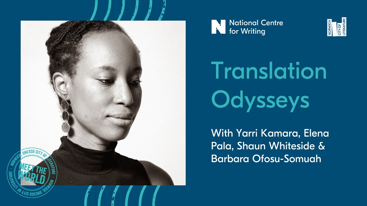 Translation Odysseys - Life as a Literary Translator