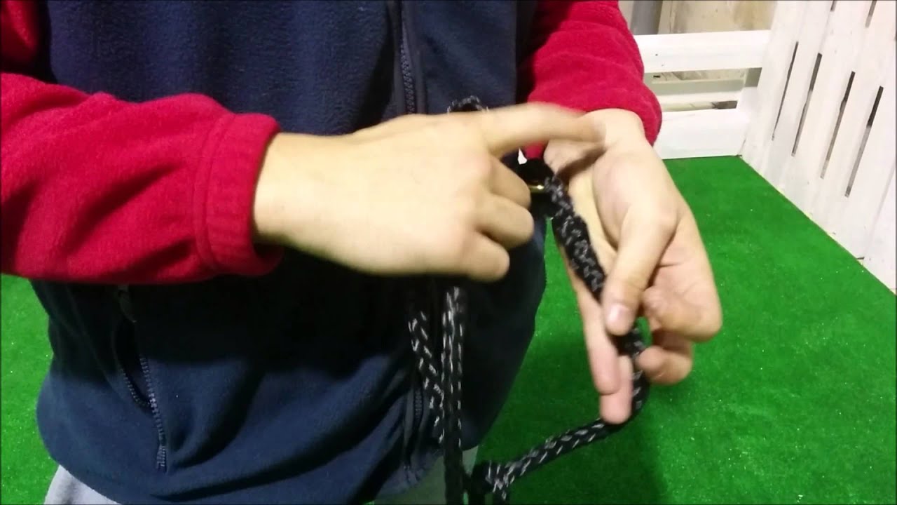 linea de tiro para canicross