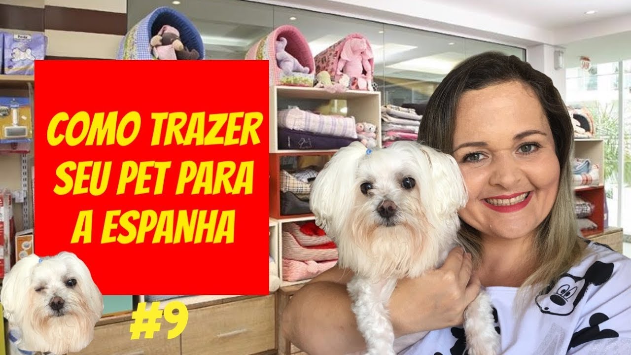 VIAJAR COM CACHORRO PARA A ESPANHA | PASSO A PASSO | PET | ESPANHA NA REAL