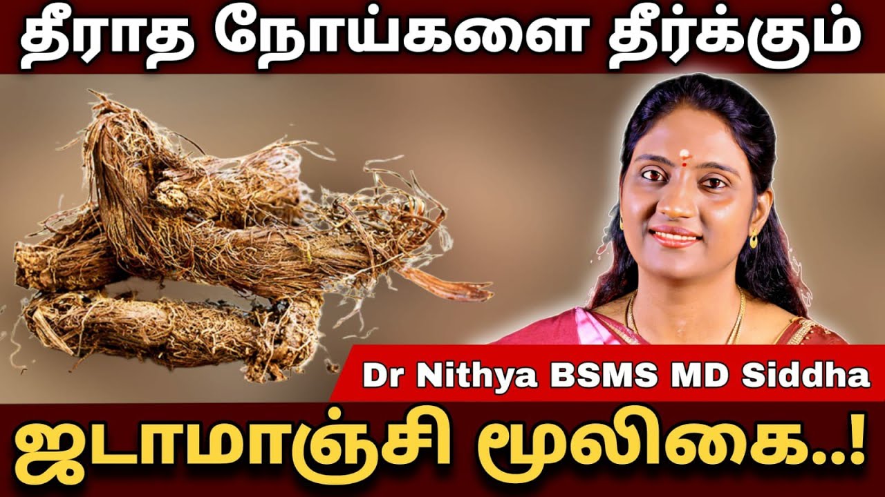 ஜடாமாஞ்சில்-ஜடாமாஞ்சி யின் மருத்துவ குணங்கள் | தீராத நோய்கள் விரைவில் குணமாகும் #drnithya #health