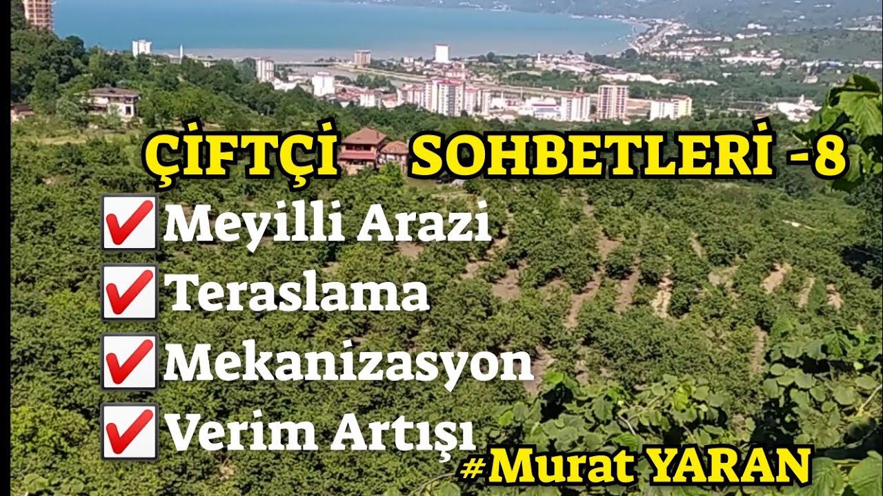 TERASLAMA ile Meyilli Fındık Bahçesinde  Tam MEKANİZASYONA Geçti. Verimi Katlandı !!