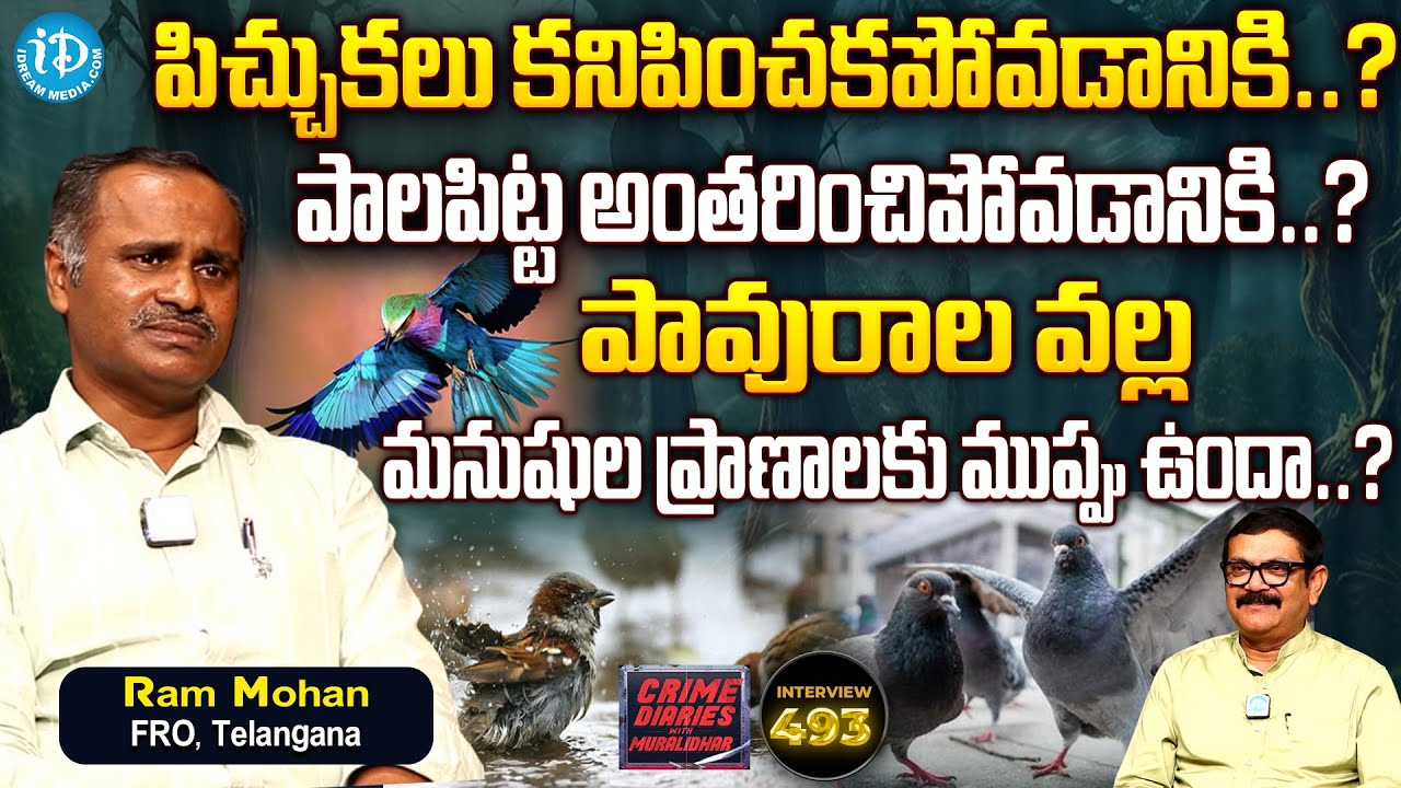 పిచుకలు కనిపించక పోవడానికి ? Forest Range Officer Ram Mohan Exclusive Interview | iDream News