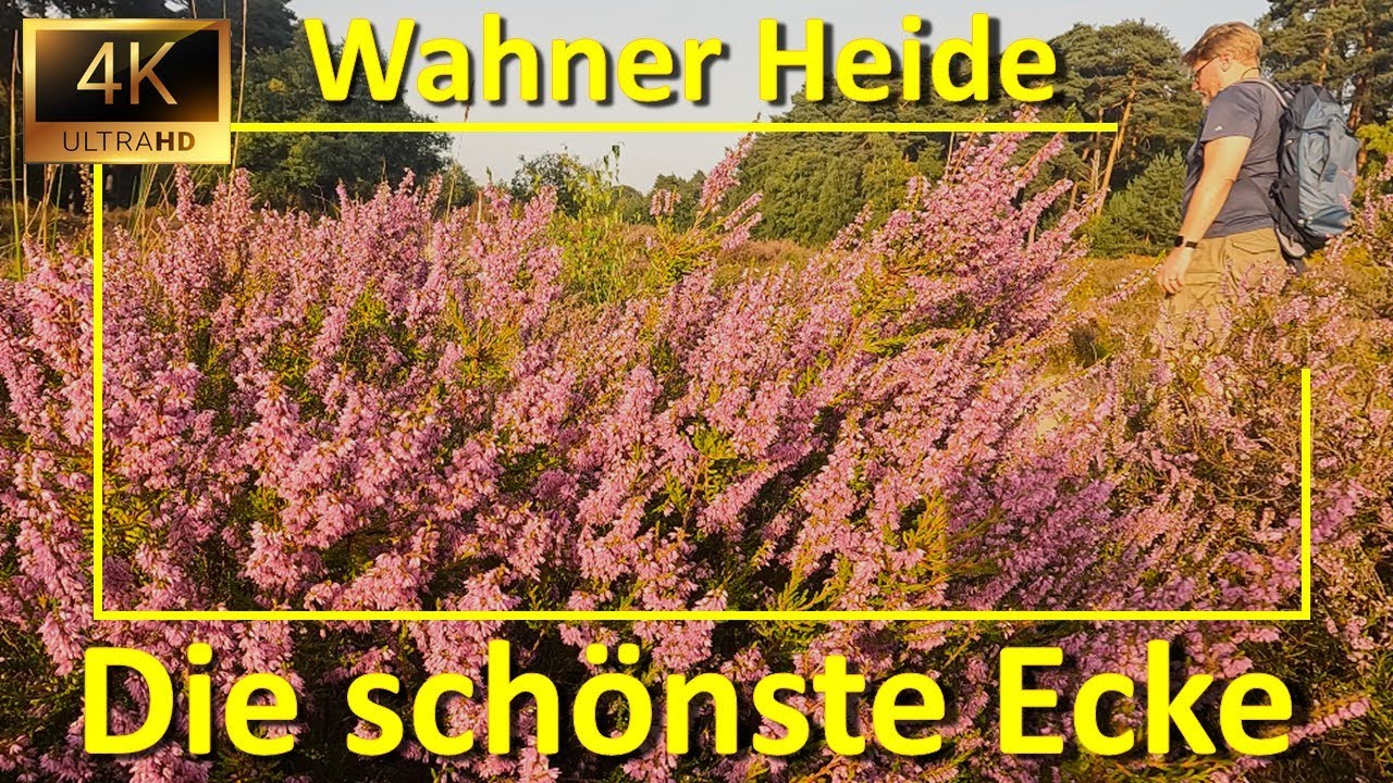 Die schönste Ecke der Wahner Heide: Vom Leyenweiher über Fliegen- und Ravensberg zum Telegraphenberg