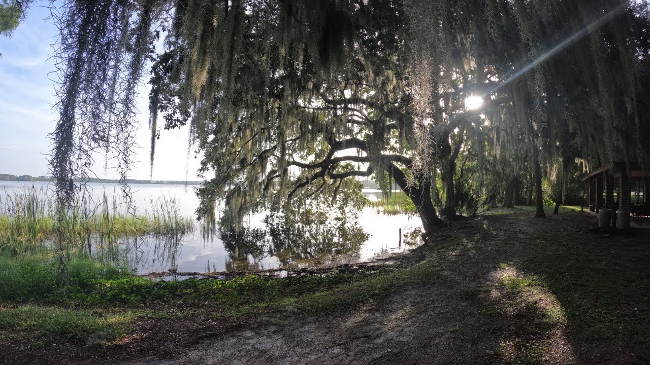Cheap RV Park review near Disney World Orlando #rv #rvlife #disney