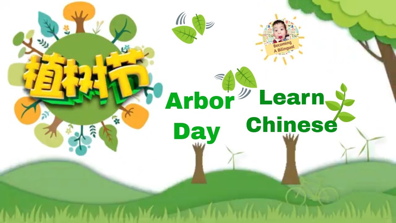 植树节，你知道多少？ Learn Arbor Day Tree Planting Day in Chinese 学中文 植树节 Arbor Day in the USA and China 中美植树节
