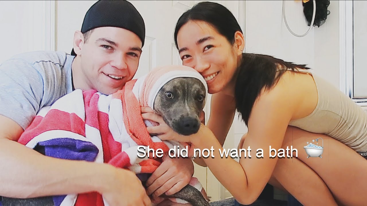 Home Vlog: Giving Our Pitty Puppy a Bath + Bedroom Update
