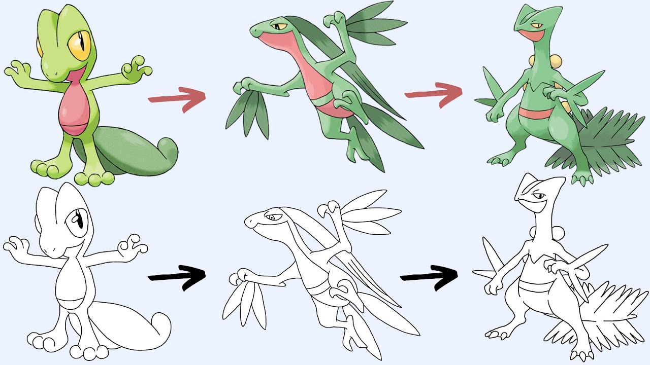 Comment Dessiner LE POKÉMON ARCKO MASSKO et JUNGKO | Pokemon Evolution
