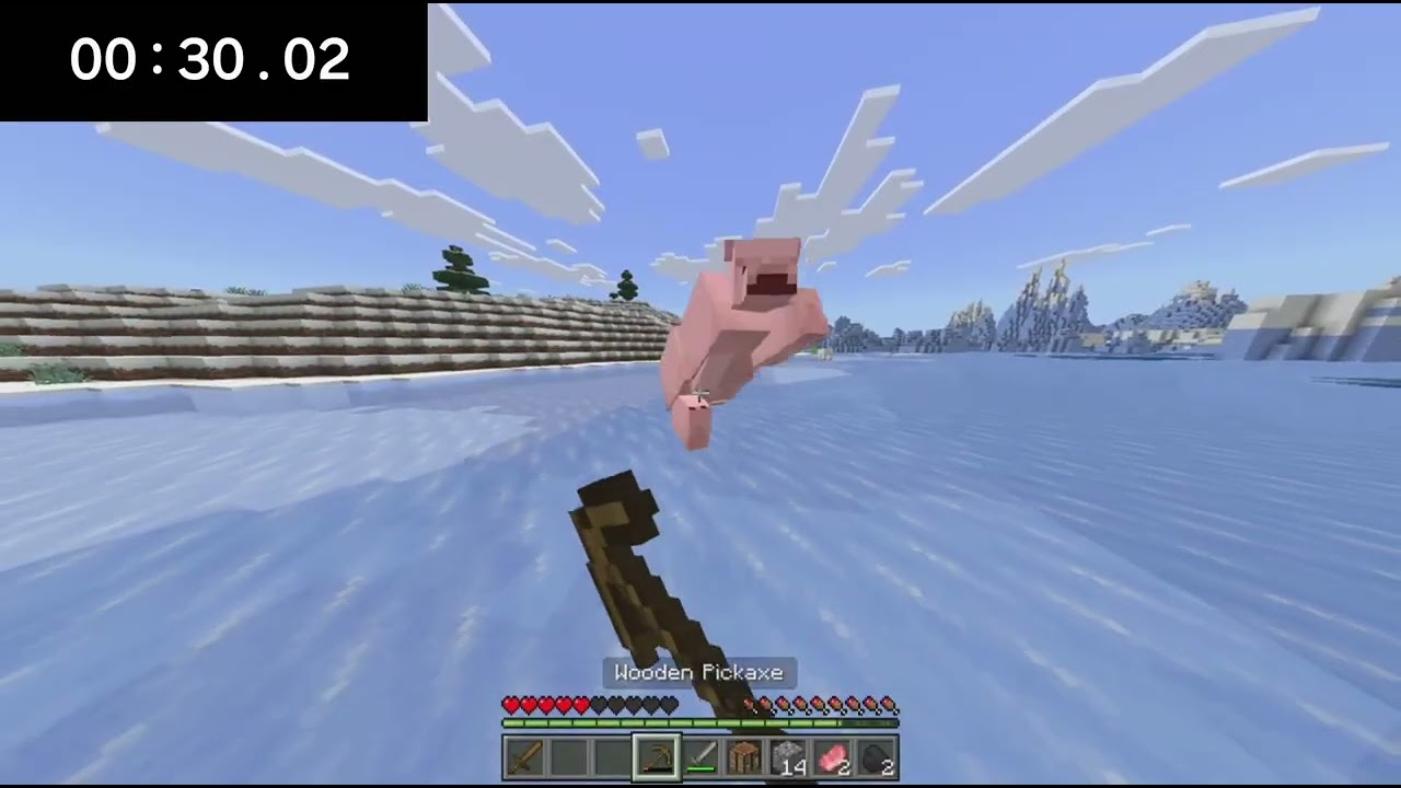 OMM MINECAFT REALISTCIC