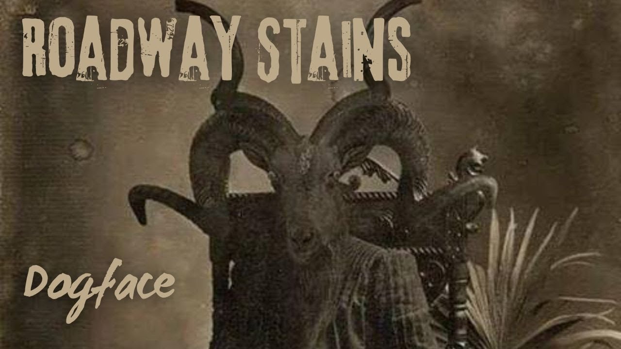 Roadway Stains - Dogface (Shoegaze / gothgaze - MPC Rickenbacker zoia loomer nebulus slo cloudburst)