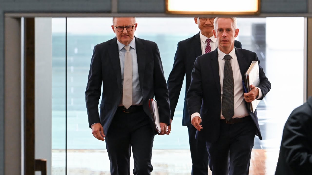 Labor&rsquo;s &lsquo;immigration chaos&rsquo; is what made international student cap necessary: Henderson