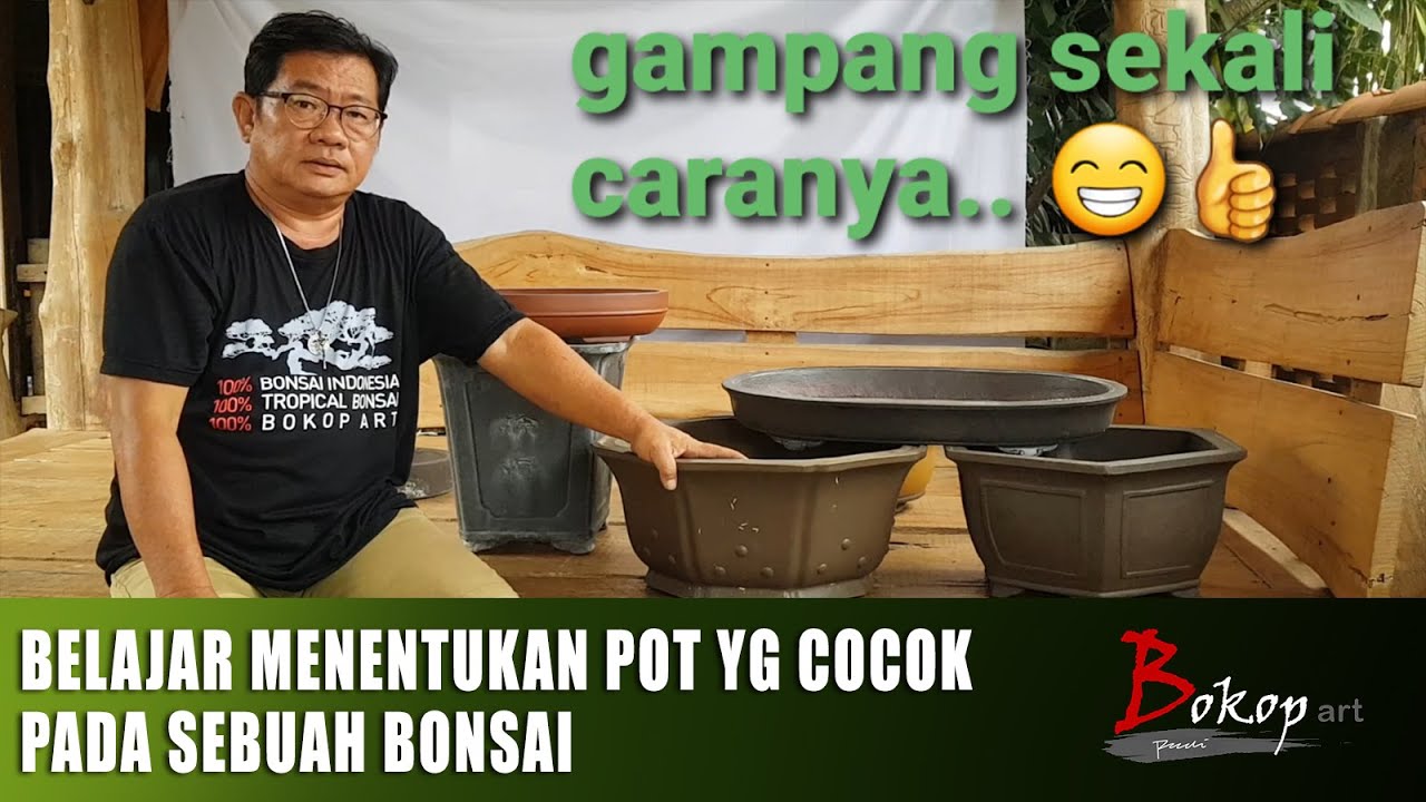 BELAJAR MENENTUKAN POT YG COCOK PADA SEBUAH BONSAI