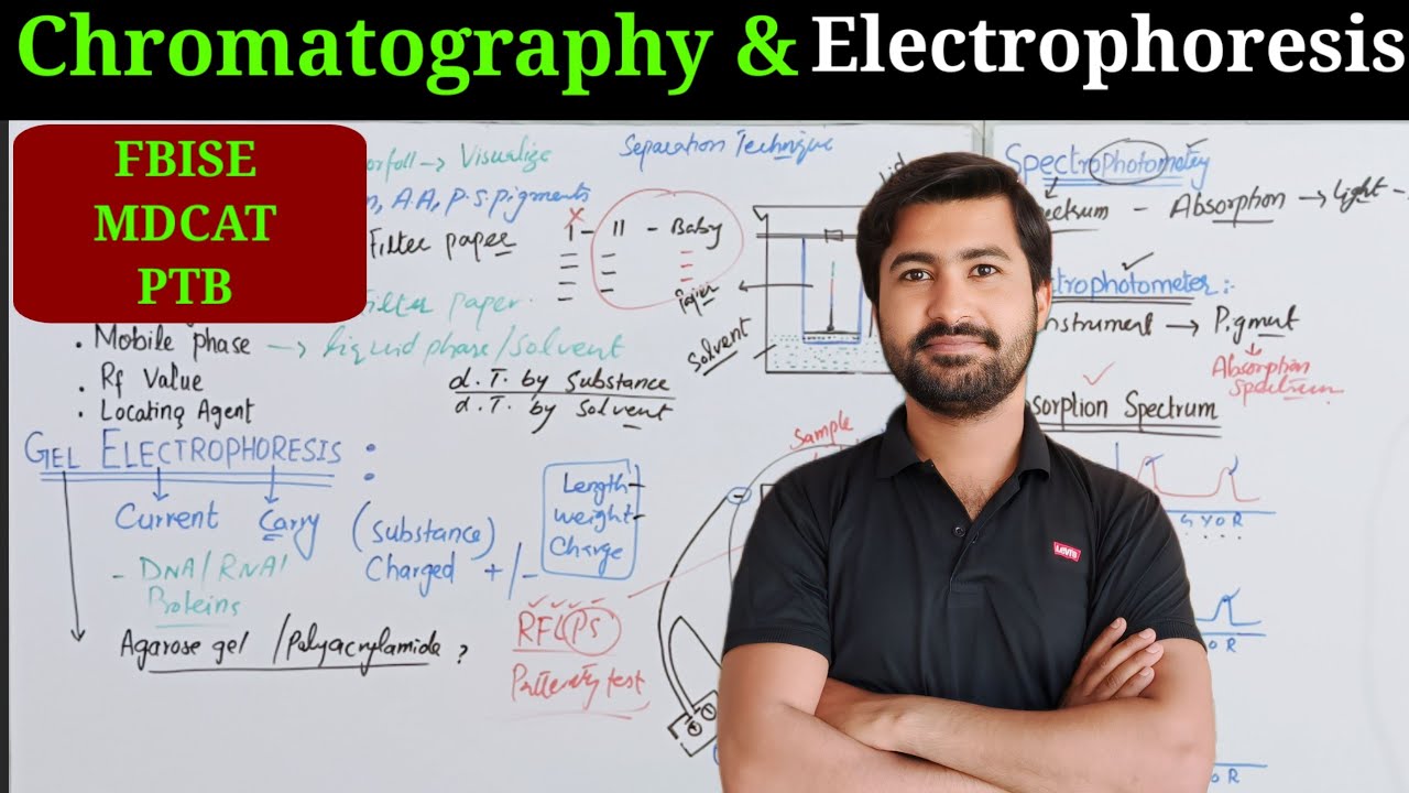 Chromatography and Gel Electrophoresis Biology class 11 chapter 1 The cell