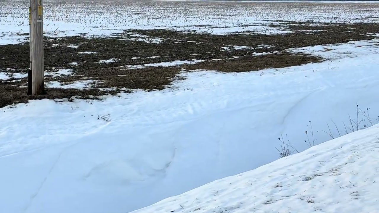 Wind Erosion Evidence in the Snow