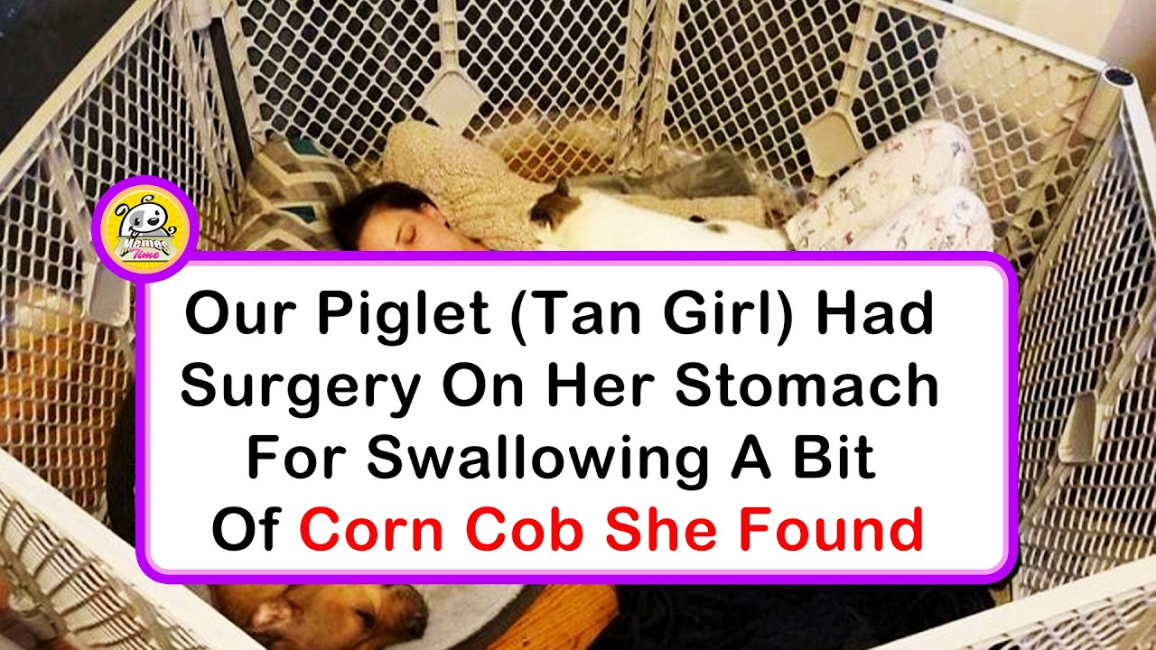 Wholesome And Hilarious Photos Showing What Family Life Is All About
