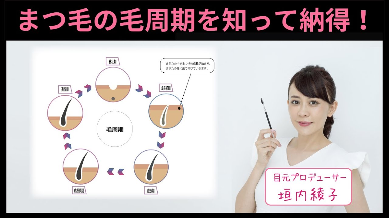 まつ毛の生え変わり、毛周期について｜垣内綾子の目元研究所#92