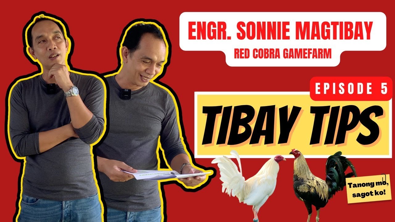 TIBAY TIPS (Ep. 5) - Super na naging Bulok??? II Pure bloodline, pricey nga ba???